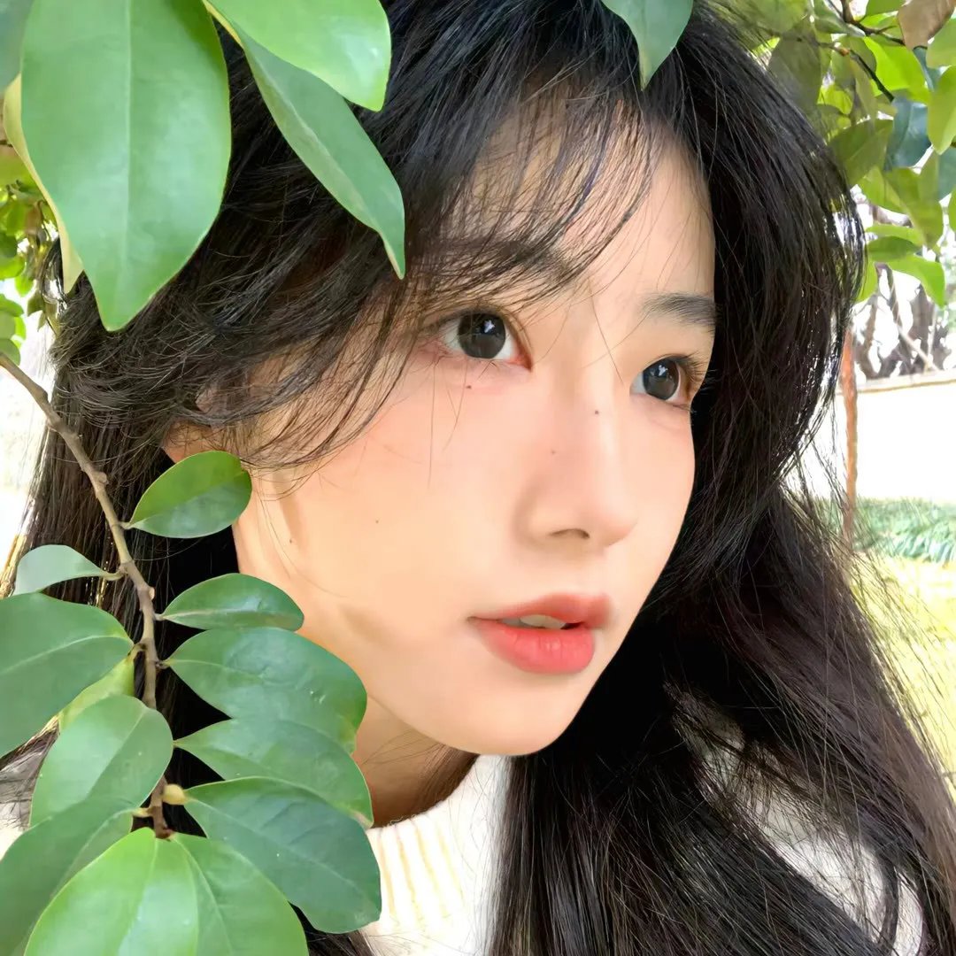 欢迎来到加帕里公园第三季